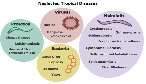 The Neglected Tropical Diseases (NTD) Day