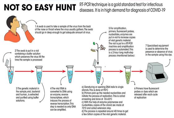 RT-PCR Test 
