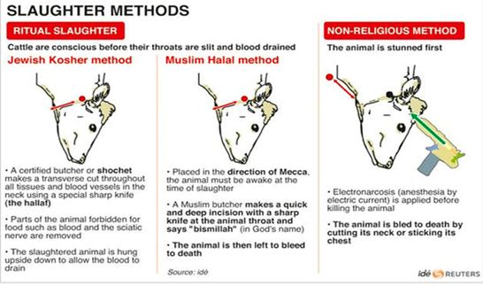 What is halal meat controversy ?