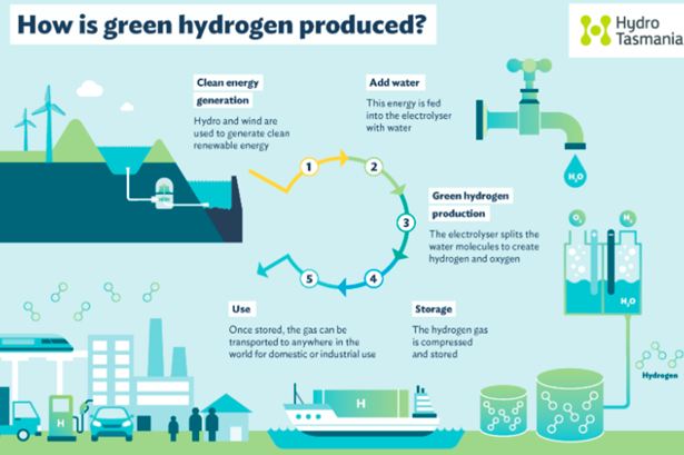 Green Hydrogen sector in India :